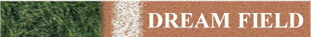 DREAM FIELD